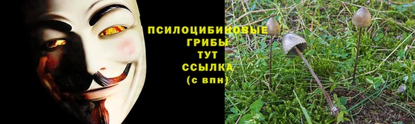 прущий лед Алексеевка