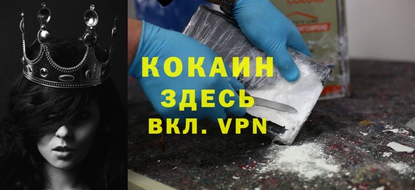 шишки Абинск