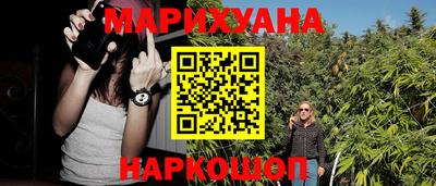 шишки Новозыбков