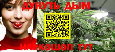 шишки Новозыбков