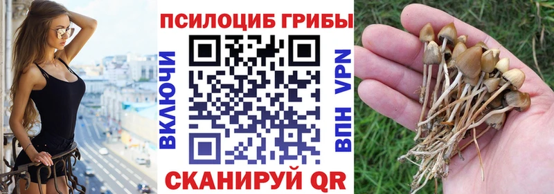 Псилоцибиновые грибы MAGIC MUSHROOMS  Шумерля 