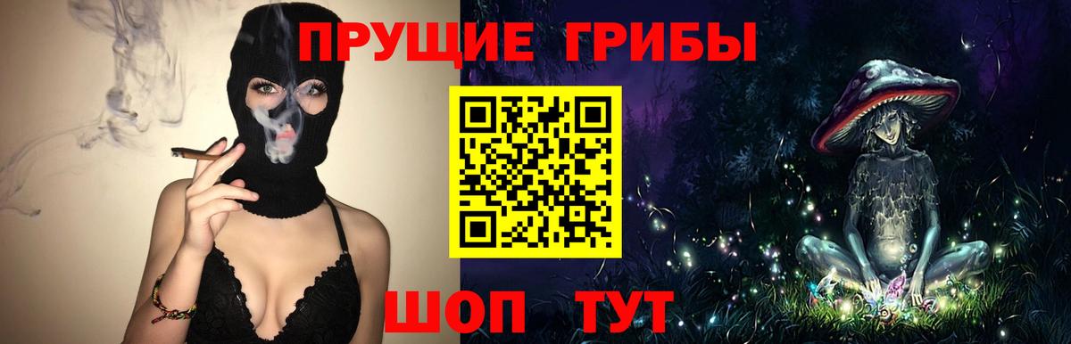 Шумерля  Галлюциногенные грибы MAGIC MUSHROOMS  Вход с VPN 