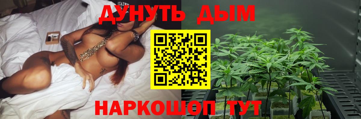 Бошки Шишки SATIVA & INDICA  Бошки марихуана сатива  Шумерля  Вход с VPN 